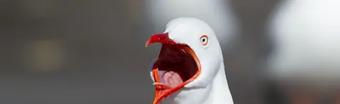 Extorsiones vía email y estafas sobre pornografía: No dejes que te asusten!