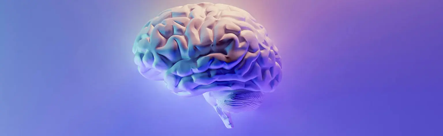 La definición de Inteligencia